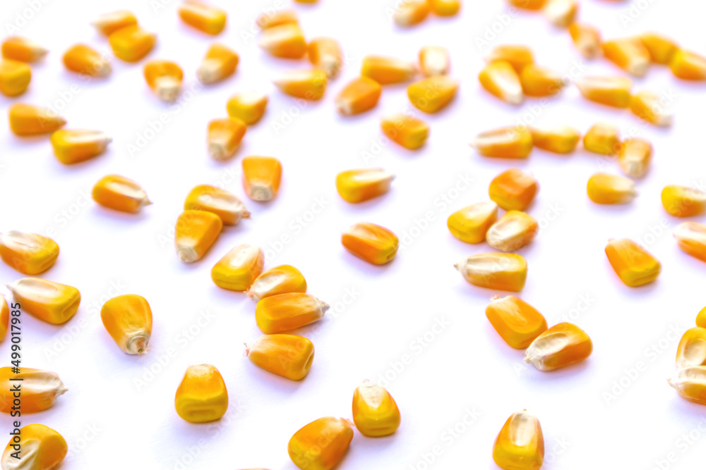 Heap of raw corns seeds, maize or sweetcorn kernels isolated on white. Selective focus Heap of raw corns seeds, maize or sweetcorn kernels isolated on white. Selective focus