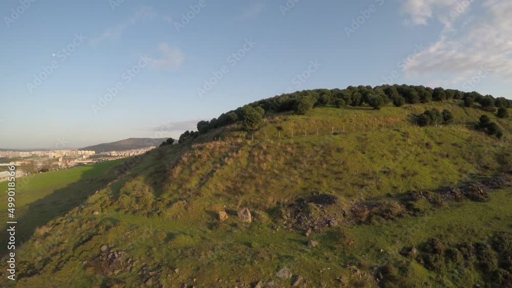 aerial green hill and forest aerial green hill and forest