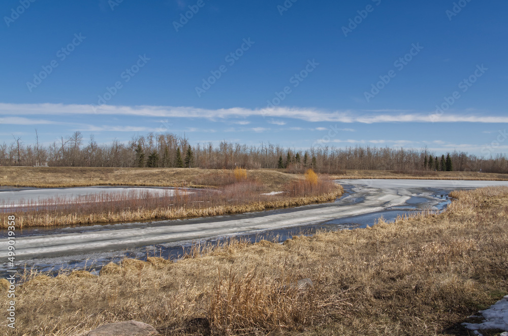 Pylypow Wetlands in the Early Spring