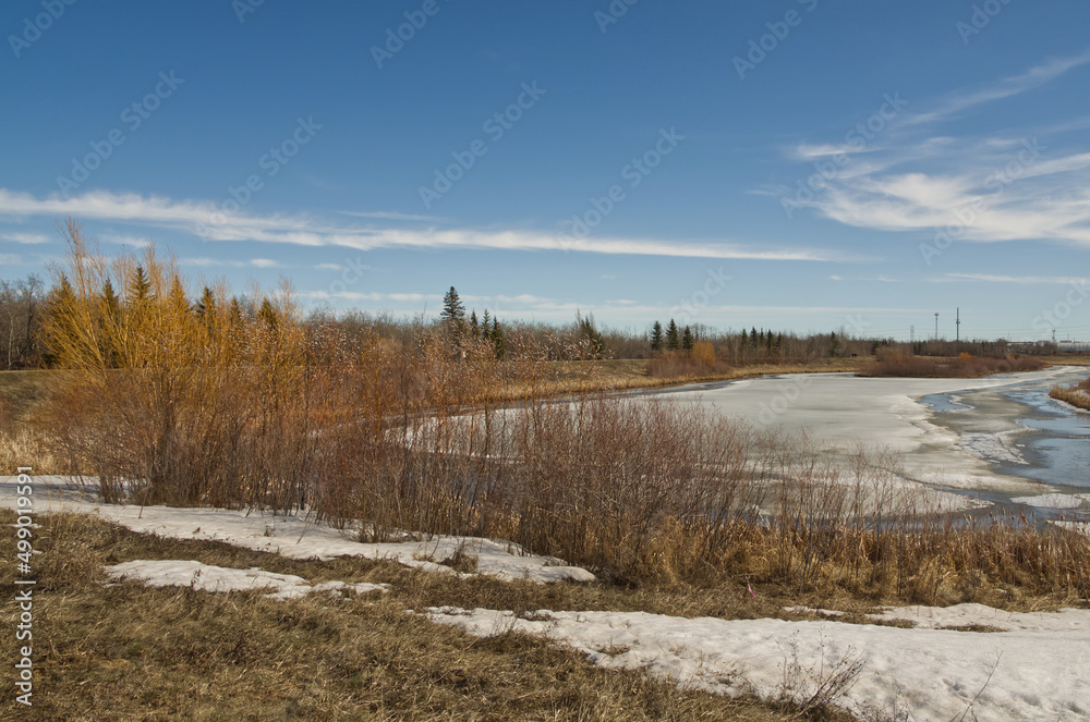 Pylypow Wetlands in the Early Spring Pylypow Wetlands in the Early Spring