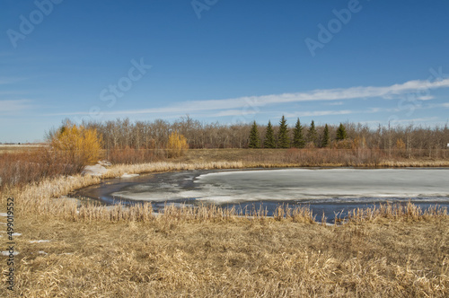Pylypow Wetlands in the Early Spring