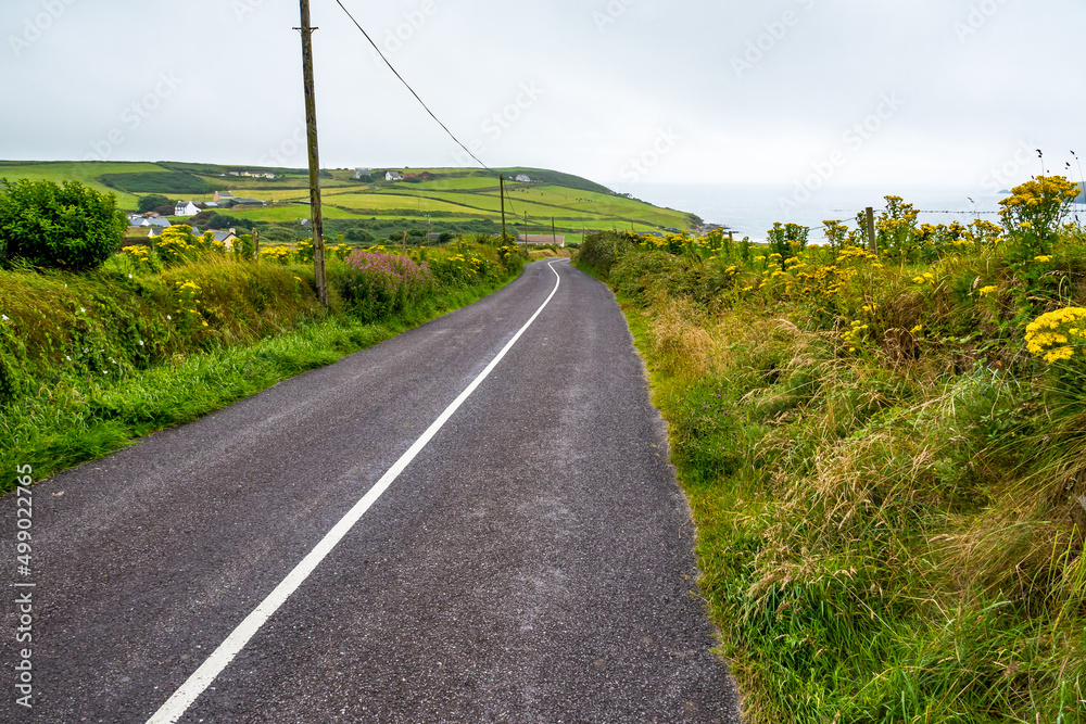 wild atlantic way - Strasse in Irland