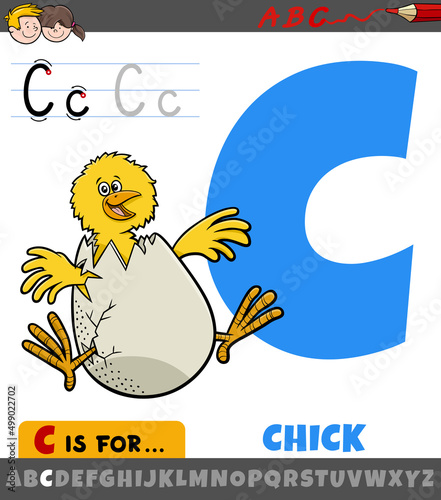 letter C from alphabet with cartoon chick animal character