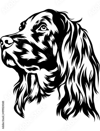 Gordon Setter 2