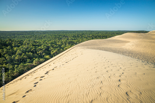 East side of the Dune du Pilat and the Landes pine forest in Gironde, France photo