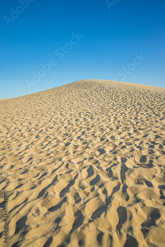 Sand of the Dune of Pilat in La Teste-de-Buch, France on a summer day with blue sky