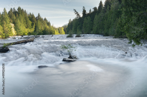 rushing river with small tree growing in the middle
