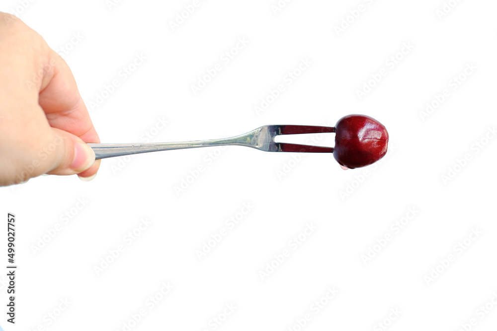 ripe cherries, sweet cherries are pricked on a fork, concept photography on the background, vegetarian food, wholesome healthy eating, food enriched with vitamins ripe cherries, sweet cherries are pricked on a fork, concept photography on the background, vegetarian food, wholesome healthy eating, food enriched with vitamins