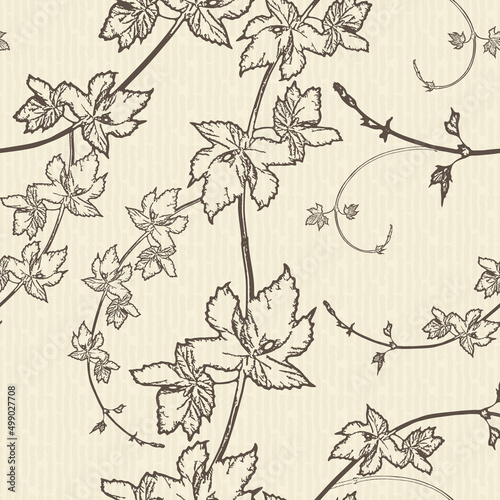 Hop branches seamless pattern. Brewing. Pattern for wrapping paper and packaging