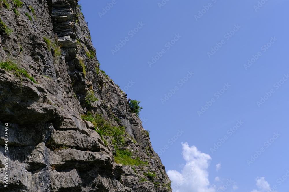 scenic mountain, mountain range in france, Graian Alps, beautiful natural landscape of Mont Blanc in summer framed by green trees, team support, extreme sports concept, trekking, climbing, save nature