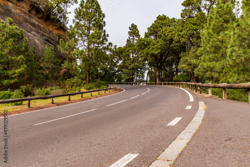 Carretera con árboles en el municipio de la Esperanza, isla de Tenerife