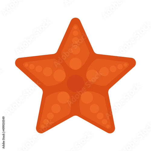 sea star icon