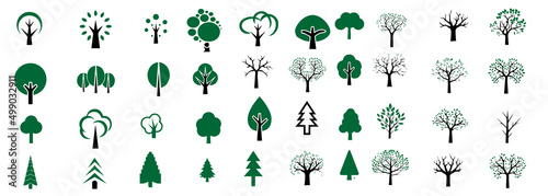 Flat vector trees set. Tree icons are set in a modern flat style.