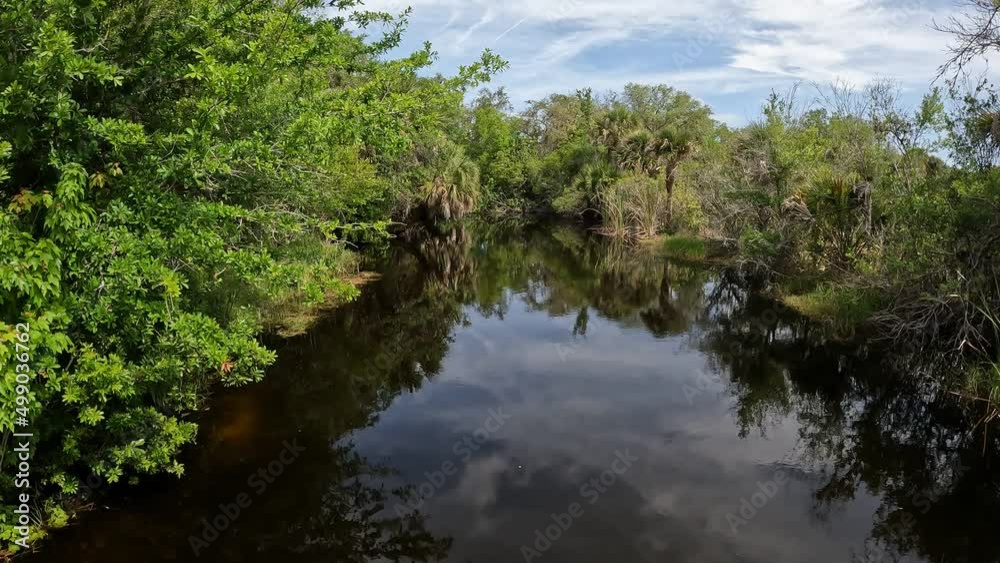 A pond with flowing water with blue skies and green trees. A pond with flowing water with blue skies and green trees.