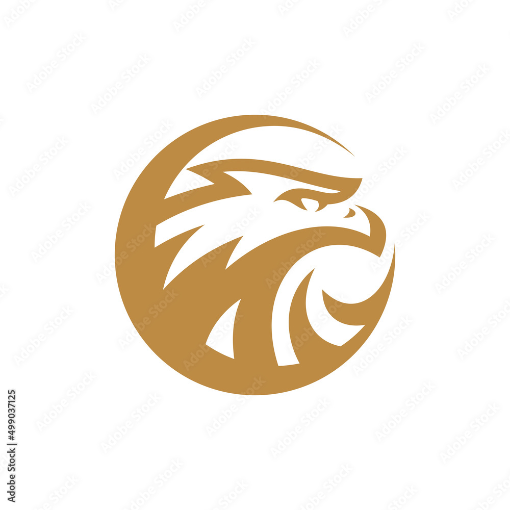 Bird eagle head logo design, falcon or hawk head badge emblem vector icon Bird eagle head logo design, falcon or hawk head badge emblem vector icon