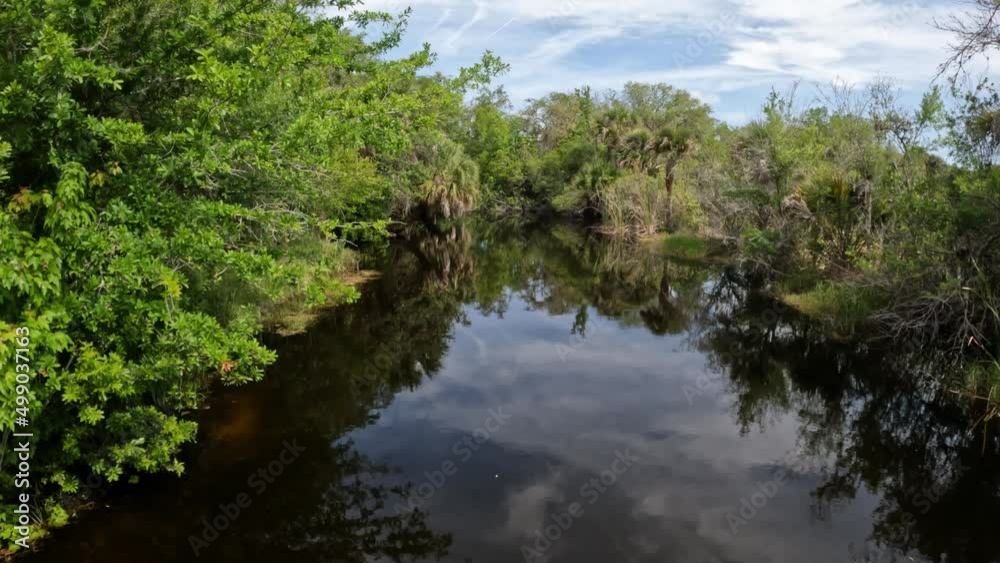 A pond with flowing water with blue skies and green trees. A pond with flowing water with blue skies and green trees.