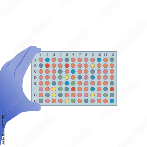 gloved hand holding a 96 well plate photo