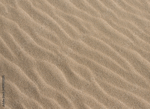 Simple sandy ripples created from wind