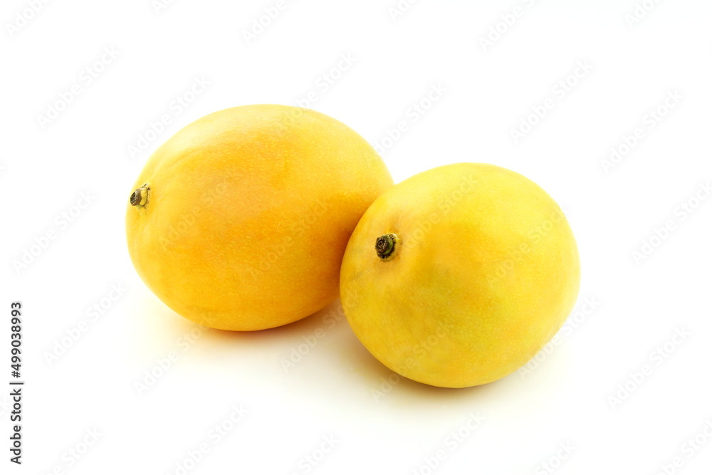 fresh ripe yellow mango fruit isolated on white background fresh ripe yellow mango fruit isolated on white background
