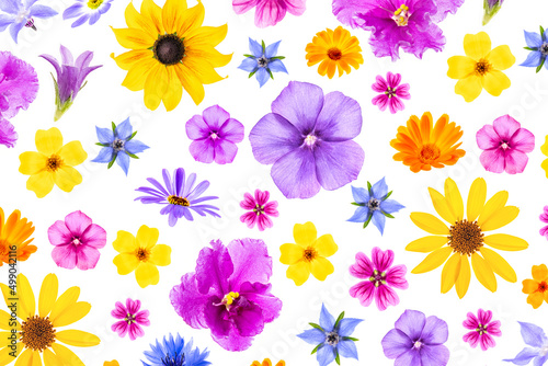 Bright pattern of colorful flowers on a white background, as a backdrop or texture. Spring, summer floral wallpaper for your design. Top view Flat lay