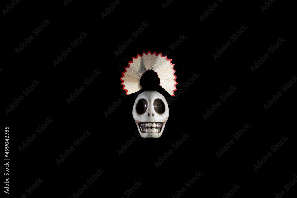 Fotografie Calavera fondo negro