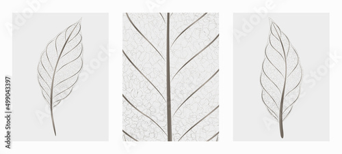 Black and white art background with tropical transparent leaves. Minimalistic botanical transparent drawing in art line style for package design, decor, wallpaper, print