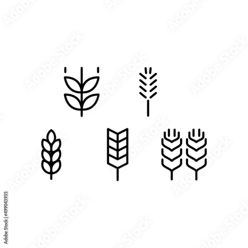 Wheat Icon Set Vector Symbol Design Illustration