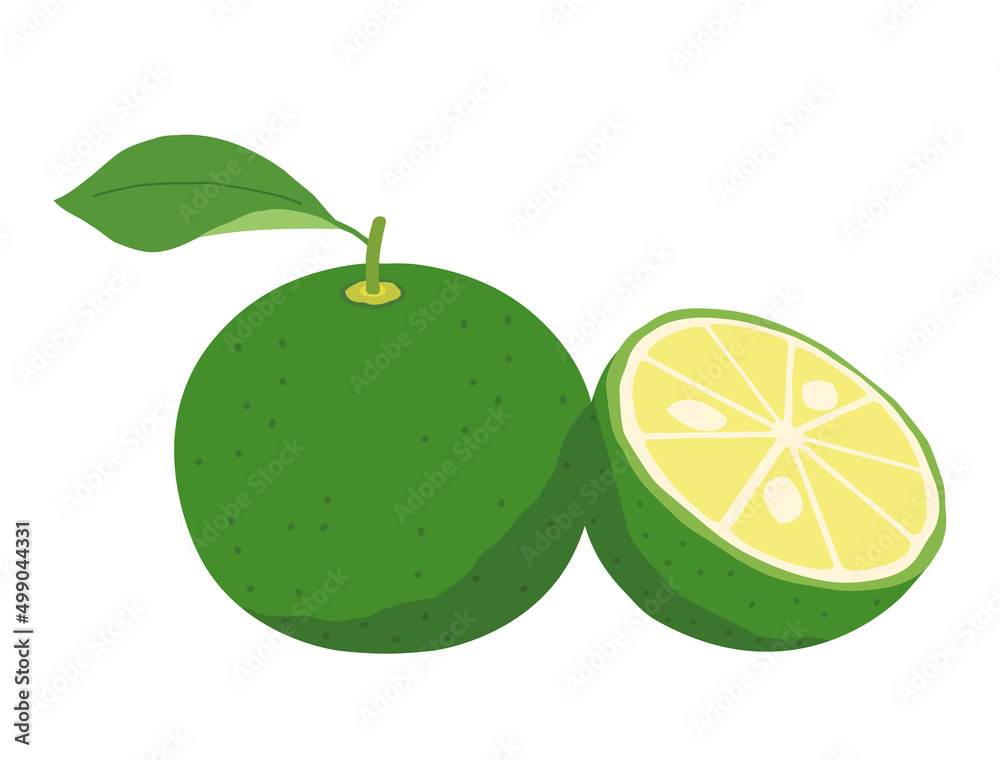 Φωτογραφία すだちやかぼすをイメージしたイラスト