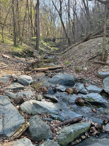 Marietta Stream