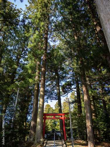 神社 © hanabusa