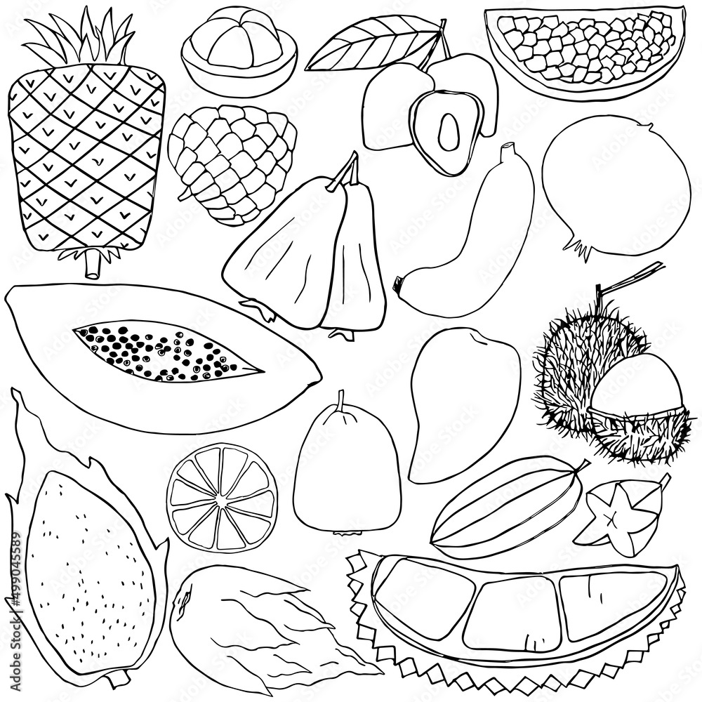 Hand drawn tropical fruit set on white background Hand drawn tropical fruit set on white background