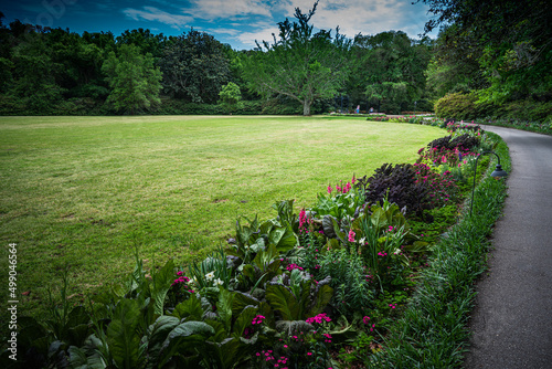 A Very beautiful Garden View with a great lawn photo