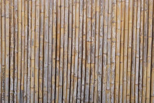beautiful lined dried bamboo background