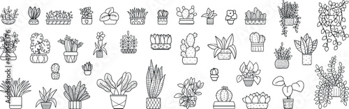 Collection of indoor plants. A set of vector illustrations on a white background.