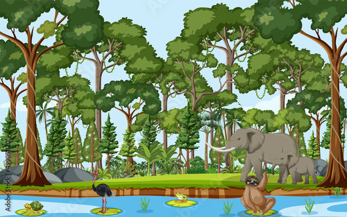 Forest scene with wild animals