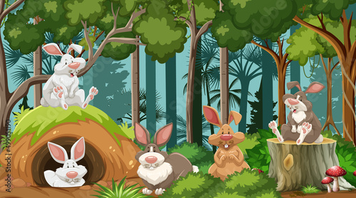 Group of rabbits in nature forest scene