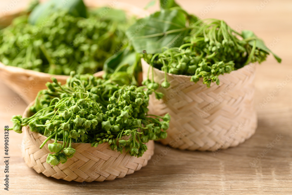Dregea volubilis flower in bamboo basket, Edible flower from local farmer market in summer season, Northern of Thailand Dregea volubilis flower in bamboo basket, Edible flower from local farmer market in summer season, Northern of Thailand