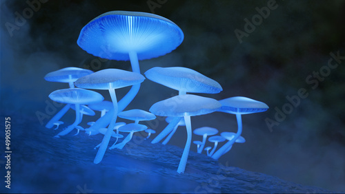 bioluminescent mushrooms
