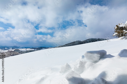 Beautiful winter mountain, snow scene (Daegwallyeong, Gangwon-do, South Korea)