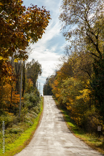 road in autumn forest