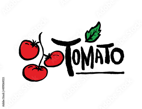 Tomato illustrations - Hand drawn food ingredients, Tomato - vector