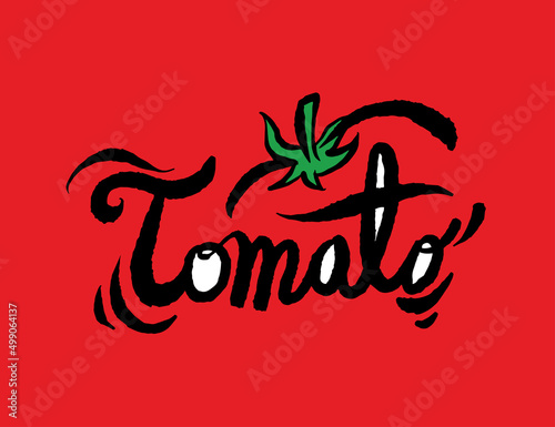 Tomato illustrations - Hand drawn food ingredients, Tomato - vector