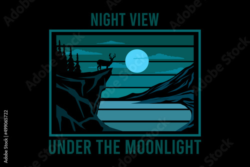 Night view under the moonlight retro vintage landscape