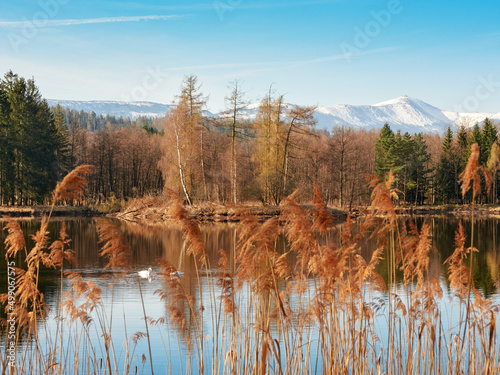 Spring landscape of a pond with trees all around in Rudawy Janowickie. Snow-capped mountain peaks of the Karkonosze Mountains in the background.