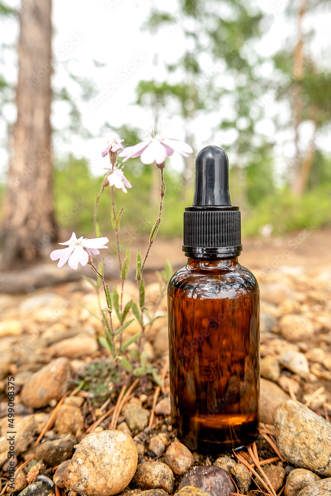 One brown glass dropper bottle with serum, essential oil or other cosmetic product outdoors. Natural Organic Spa Cosmetic Beauty concept One brown glass dropper bottle with serum, essential oil or other cosmetic product outdoors. Natural Organic Spa Cosmetic Beauty concept