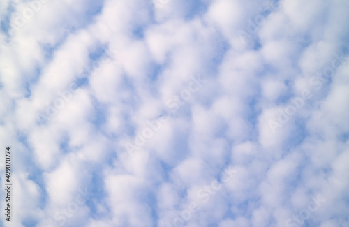 Incredible Cotton White Fluffy Altocumulus Clouds on Blue Sky photo