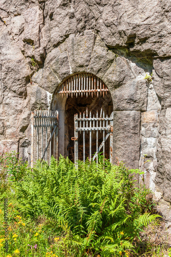 Iron gate at a Mountain Tunnel with ferns outside