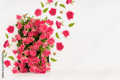 Spring pink flowers - roses as rounded arch with levitation of buds, green leaves as flow on white stage mockup for showing of cosmetic, goods, advertising, design. Fresh floral romantic background.