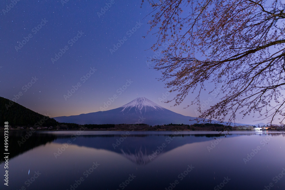 田貫湖から富士山と桜と星空
