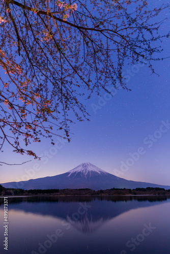 田貫湖から富士山と桜と星空 © Umibozze